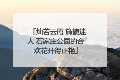 灿若云霞 旖旎迷人 石家庄公园的合欢花开得正艳
